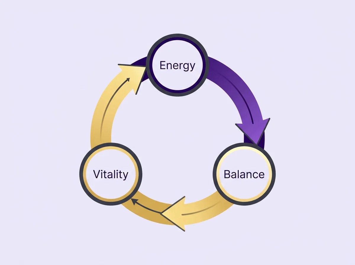 Circular metabolic cycle diagram showing Energy, Balance and Vitality nodes in purple and gold